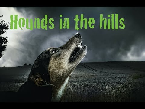 "Hounds in the Hills" | Casui feat. Keno Trüper