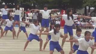 小学校運動会　6年「組立体操」