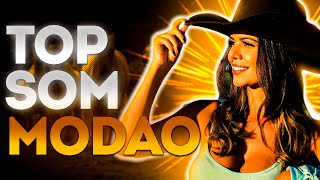 Churrasco e viola para curtir - modo de viola - para curtir no churrasco