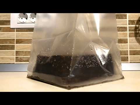 IKEA Odla coconut coir time-lapse