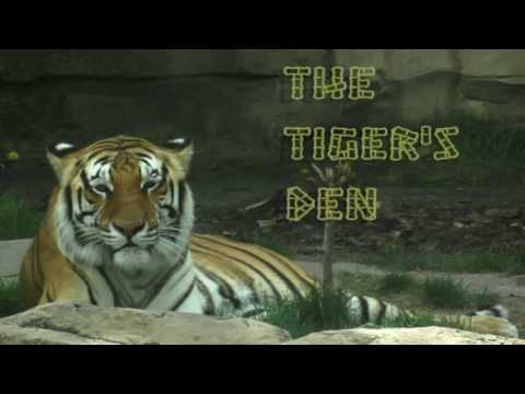 July 8th Power Trading Hour with David White on TFNN   2016