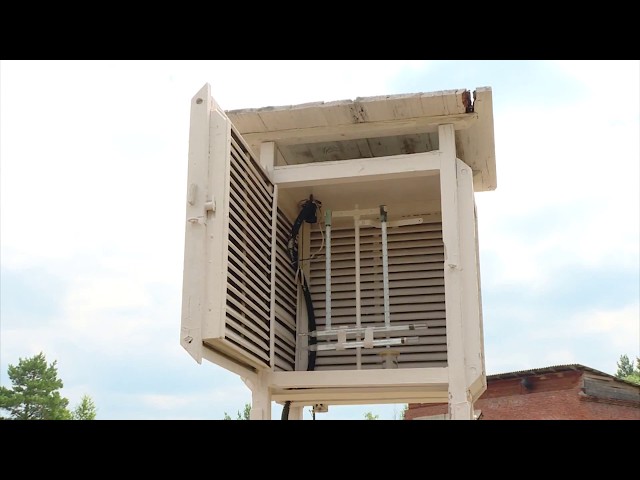 В город вернется лето