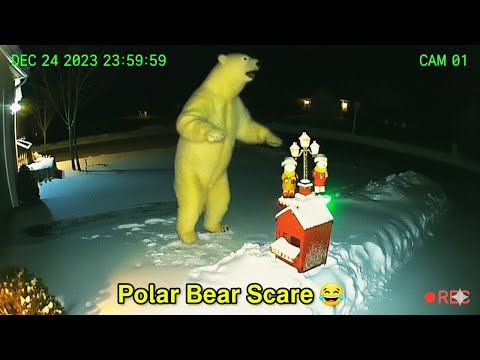 PT. 3🧸CCTV | Bears Getting Scared By Christmas Decorations 