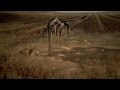 Socionic - 'Epiphany' Video - Withered Plant ...