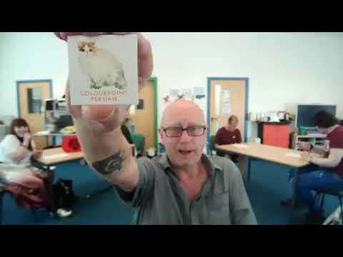 Cat Bingo! with Spiff: 12.08.2020