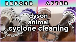 HOW TO CLEAN A DYSON ANIMAL CYCLONE | DC 66 UPRIGHT BALL ANIMAL VACUUM | EASY STEPS |ONE TOOL NEEDED