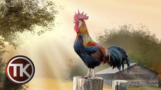 Download lagu 5 AYAM KETAWA TERPANJANG DI DUNIA | VERSI TUKANG KOMPOR mp3 Download lagu 5 AYAM KETAWA TERPANJANG DI DUNIA | VERSI TUKANG KOMPOR mp3