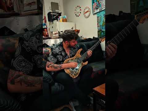 Leonardo Orsi Custom 7-String – 2018 Exhibition Model – Handcrafted, lightweight "Workhorse" with Premium Aesthetics image 13