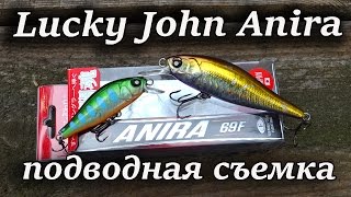 Lucky john anira 89 sp