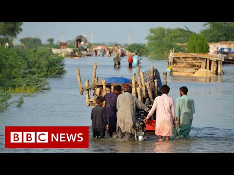 Pakistan floods: Millions of people displaced and more than 1,000 dead - BBC News