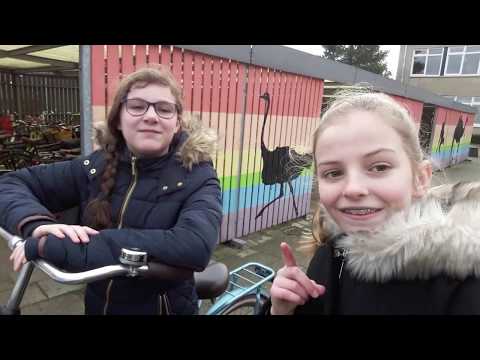 Driestar College - Lekkerkerk #1