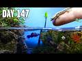 Building A Tiny Beach Ecosystem With 26 Creatures