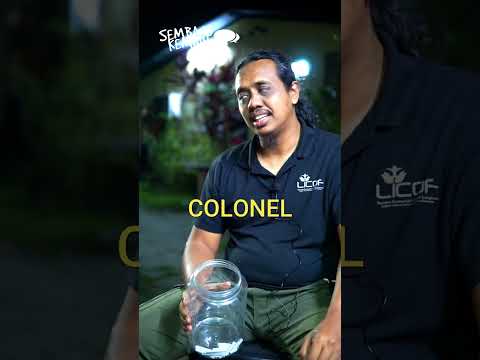 English Pronunciation Challenge with Fazli Fazil - Sembang Kemaih