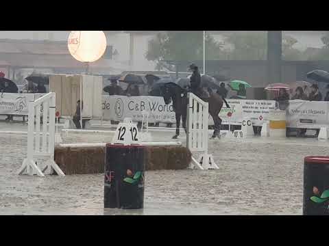 Carolina Mendes Mariani on FAIAL Speed Test Final Portuguese National Working Equitation Championshi