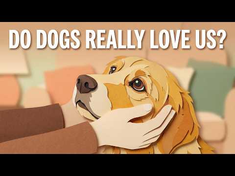 Do Dogs Really Love Us? (Science Has the Answer)