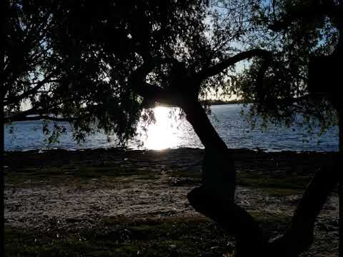 CARLOS CRESCI - SERGIO BARONE - A TUS OJOS PARDOS