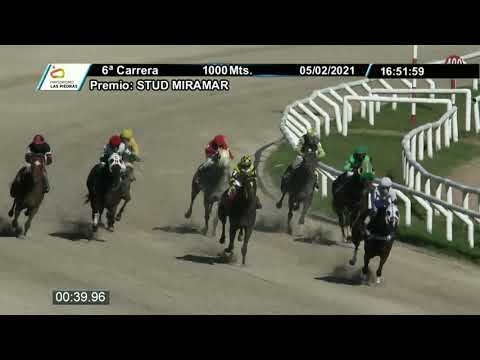 210205 c06 - FRAGANCE  - HIPODROMO LAS PIEDRAS