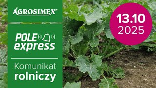 Lustracja rzepaku ozimego | Komunikat Rolniczy