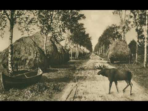 Land der dunklen Wälder - Ostpreußenlied [mit originalen Photographien]