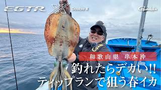 【FishingLover東海】釣れたらデカい！ティップランで狙う春イカ～和歌山県 串本沖～　