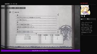 ［苦痛のおつかい］ニーアレプリカント