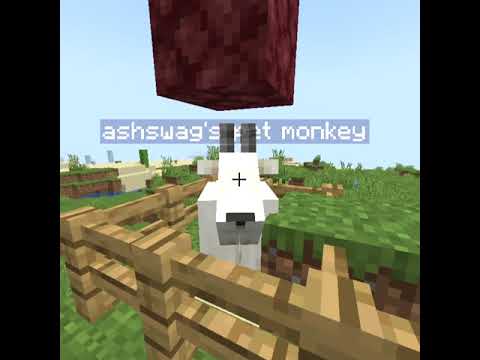I joined a cursed 1.17 Viewer SMP