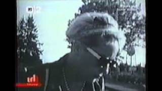 sonic youth / theresa&#39;s sound world