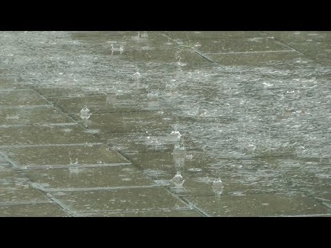 v.v. Schijf - Internos afgelast....