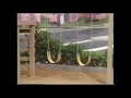 Closing To The Complete First Season Tape 1 Episode 4 1993 Version