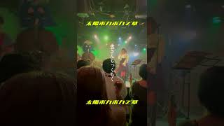 【LIVE】太陽ポカポカで草☀️ #vocaloid #shorts