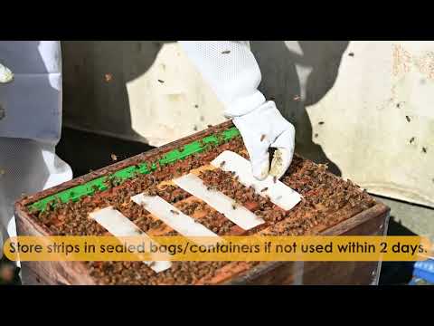 Hobbyist mixing video thumbnail