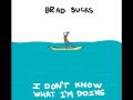 Brad Sucks - Borderline (I Don't Know What I'm Doing) [Lyrics]