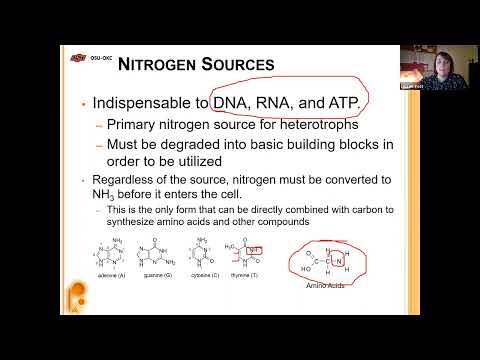 2023 Spring MCRO2124 Introduction to Microbiology, Chapter 7 Lecture: Microbial Nutrition