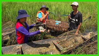 Rural Food Tour! Catching Fish in Large Scale of Water! Daily Family Business In Dong Aranh Village.