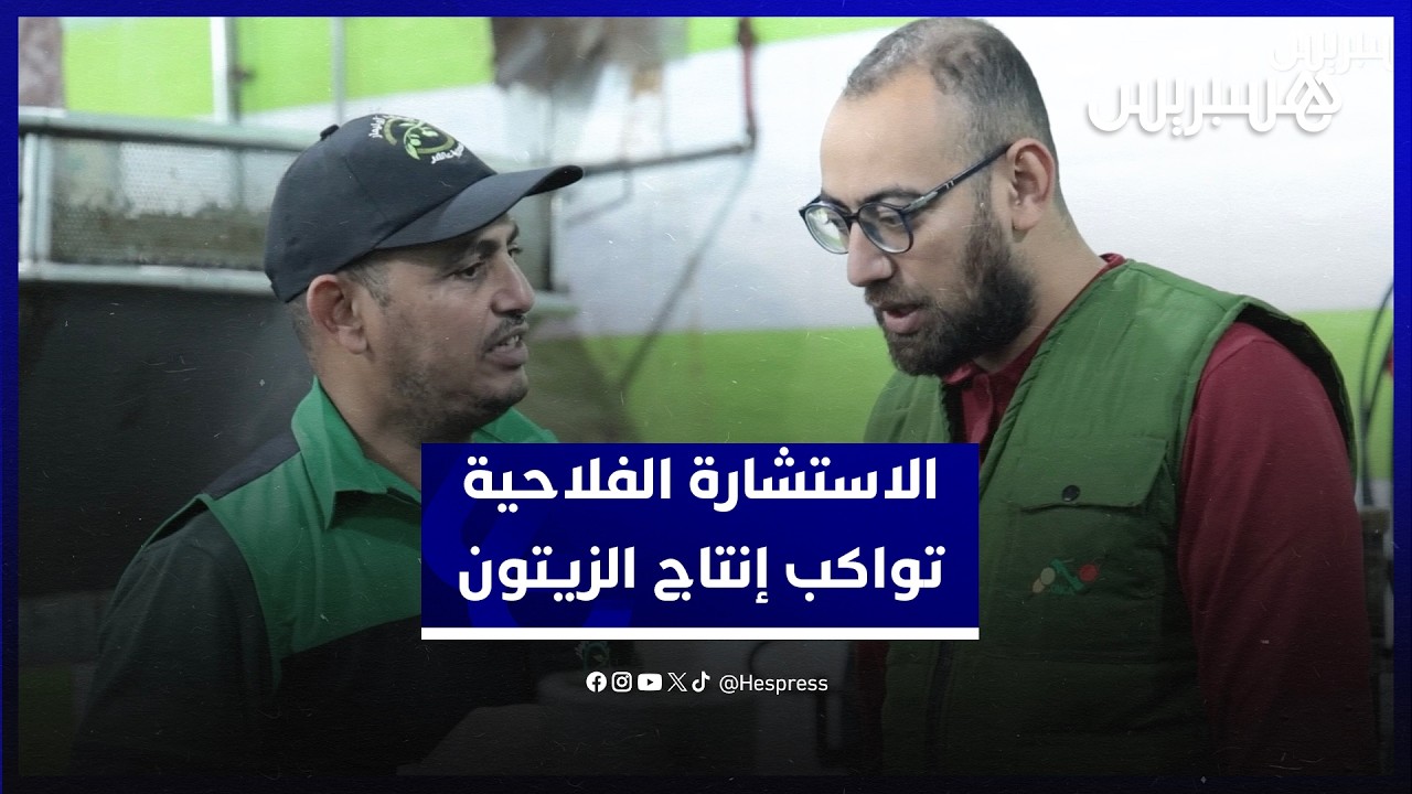 من الغرس إلى العصر.. مكتب الاستشارة الفلاحية يواكب فلاحي الزيتون بالسراغنة على طول سلسلة الإنتاج thumbnail