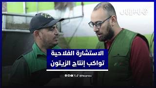 من الغرس إلى العصر.. مكتب الاستشارة الفلاحية يواكب فلاحي الزيتون بالسراغنة على طول سلسلة الإنتاج thumbnail