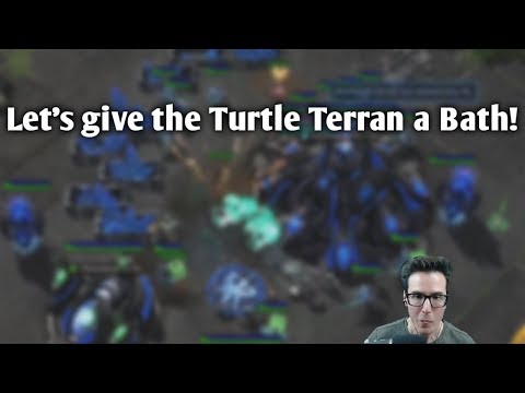 Let’s give the Turtle Terran a Bath!