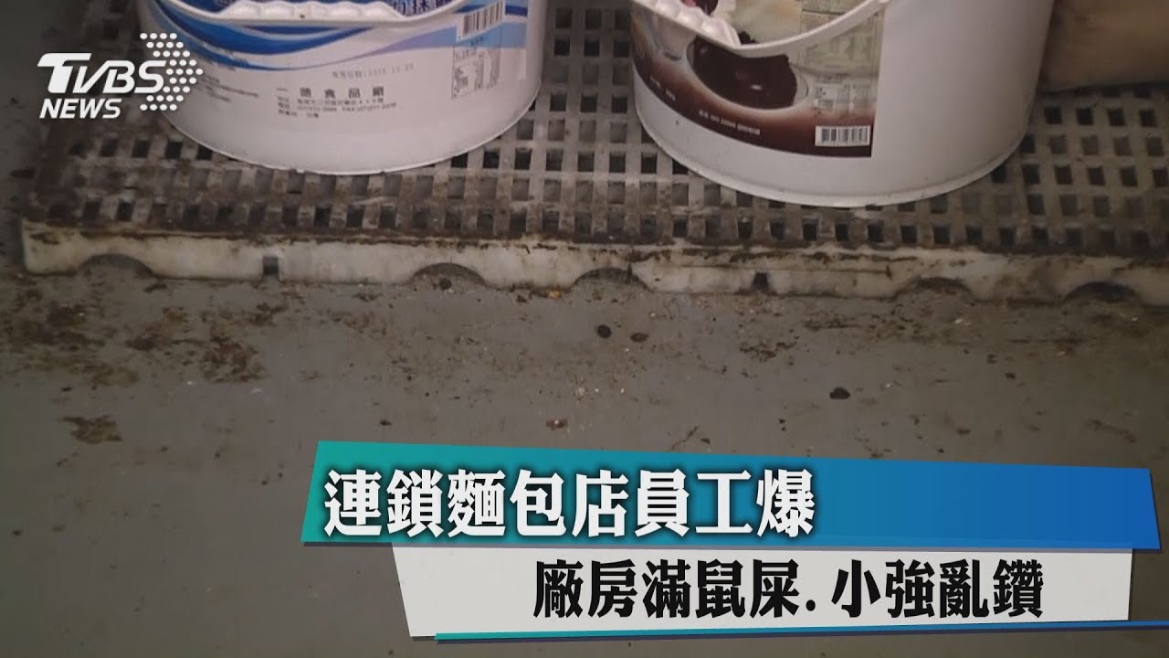 廠房滿鼠屎0、小強亂鑽　連鎖麵包店員工大爆料