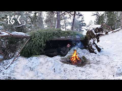 I Built a Survival Shelter & Slept Outside in −16°C | Winter Bushcraft