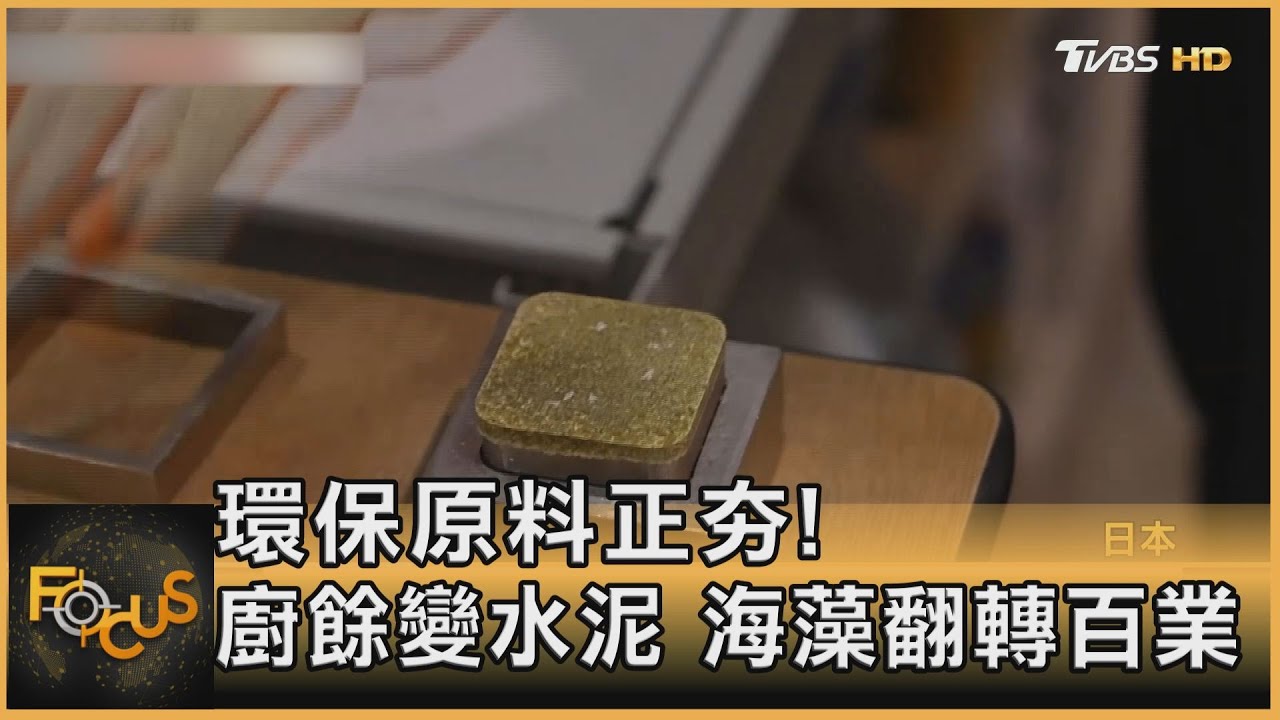 環保原料正夯!廚餘變水泥 海藻翻轉百業