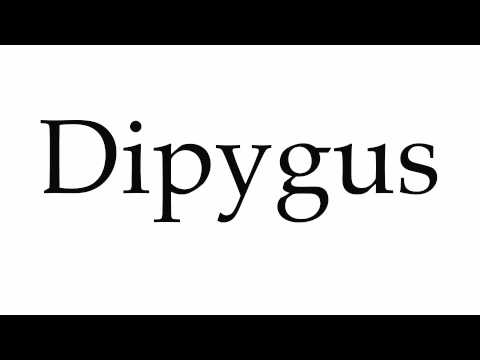 How to Pronounce Dipygus