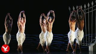 Swan Lake with an all-male cast: Matthew Bourne on his big risk