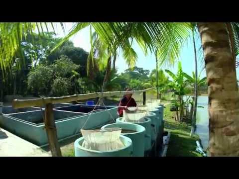 Aquatic Science and Blue Economy Institute