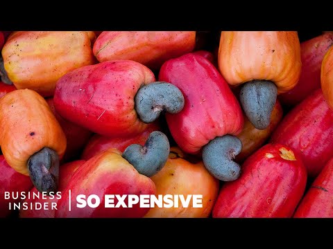 The Unexpected Reason Behind the High Price of Cashews