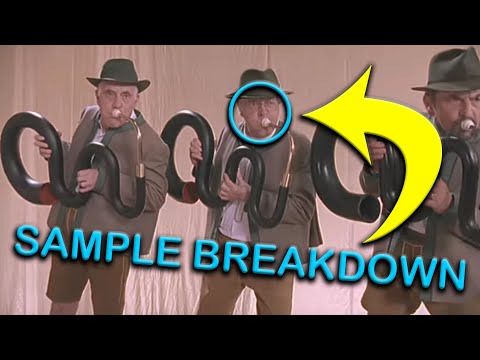 The Avalanches - Frontier Psychiatrist (Visual Sample Breakdown)