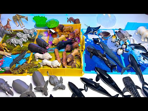 Sea Animals & Wild Animals Playset - Lion, Giraffe, Whale, Shark, Beluga, Whale Shark, Seal, Cheetah