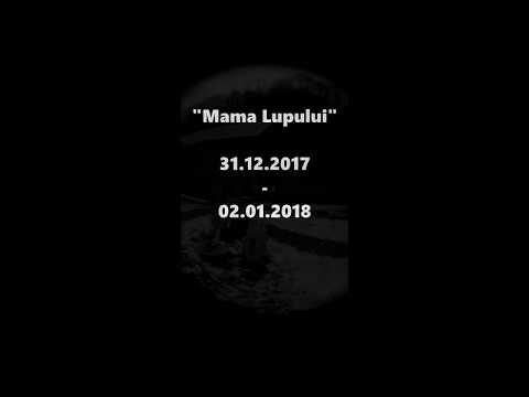 Doidec - Turtă (prod. Pete Canon)