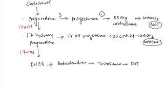 Download lagu CAH mp3 Download lagu CAH mp3