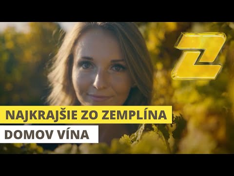 NAJKRAJŠIE ZO ZEMPLÍNA - Vyhliadková veža Tokaj