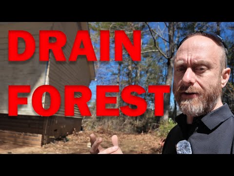 Septic Survival: Why a Proper Drain Field is a Must-Have!